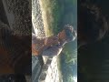 new short video ¤■□●▪︎》♤■●》▪︎■《●□》¤○€€{♡》》€\\$€|¤■${257□●|€€□《}》 fyf, short video
