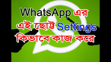 How to use low data usage feature in Whatsapp