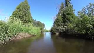 The Sturgeon River Cheboygan Country Michigan