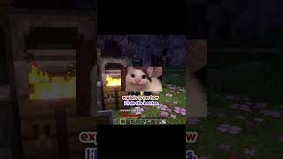 NEVER join a Minecraft SMP...