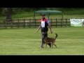 Mario Verslijpe worldchampion FMBB 2012 Obedience 98