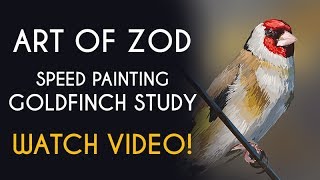 Art of Zod - Speed painting - Goldfinch Study screenshot 2