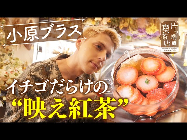 【Coffee】ことりのはじめておへや ことりカフェ （心斎橋） 小鳥を眺めながらランチ＆スイーツ