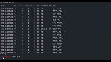 Wireless Network Evacuation: Unmasking the WiFi DoS Attack