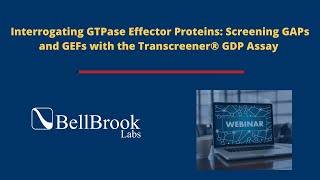 Interrogating GTPase Effector Proteins Screening GAPs and GEFs with the Transcreener GDP Assay