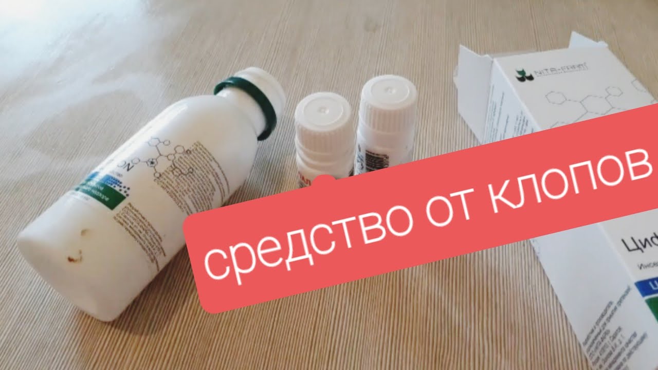 ДИВАННЫЕ КЛОПЫ. Чем травить клопов . Перепробовать все ? - YouTube