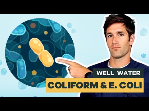Why Use Coliforms To Indicate Water Quality