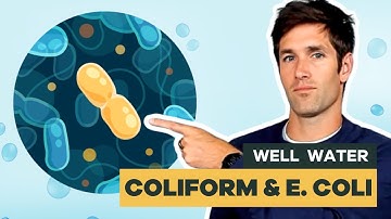 Is Coliform Bacteria Common in Well Water?