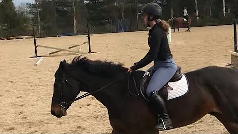 23. first time riding Leo (flatwork)