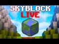 a new series begins... | Hypixel Skyblock LIVE