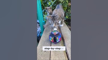 eXmars cool robot rubik