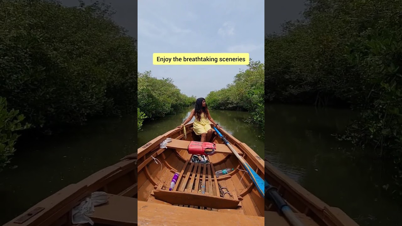 pichavaram mangrove forest 