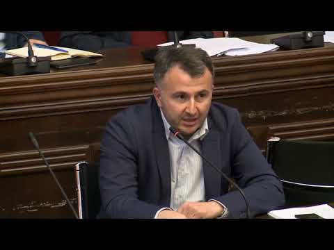 ირაკლი შატაკიშვილის შეკითხვა შსს მინისტრის მოადგილეს  ალექსანდრე დარახველიძეს საკომიტეტო მოსმენისას