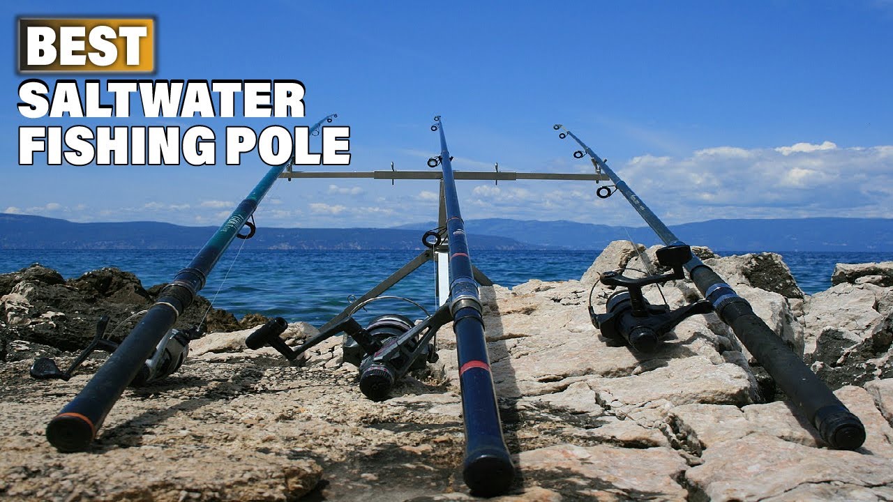Top 10 Best Saltwater Fishing Pole (2023) 