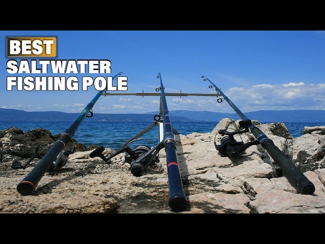 Top 10 Best Saltwater Fishing Pole (2023) 