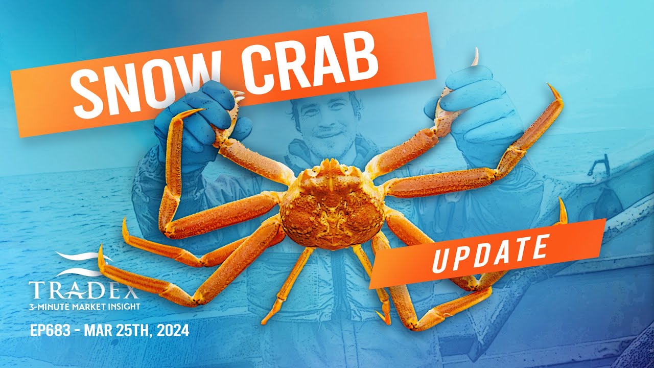 3MMI - Snow Crab: Largest Fishery Starts Soon, Upward Price Trend