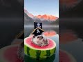 You Won’t Believe This Pirate Hedgehog 🦔🍉 #animals #shorts #funny
