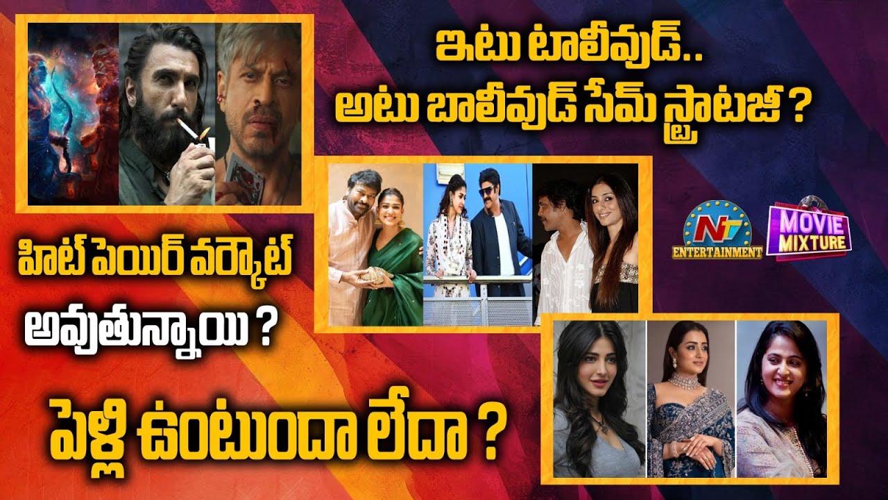Anushka Shetty, Trisha & Shruti Haasan Marriage Update ? | Ramayana & KING Release Dates ? | NTV ENT