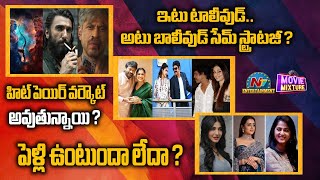 Anushka Shetty, Trisha & Shruti Haasan Marriage Update ? | Ramayana & KING Release Dates ? | NTV ENT