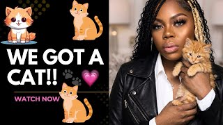 Getting My New Cat 🐱 First Day Prep + Meet My Kitten &amp; My Toddler’s Reaction!