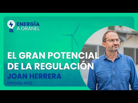 Energía a Granel (5x30)💡 "The potential of regulation", Joan Herrera