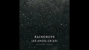 raindrops (an angel cried)- ariana grande cover