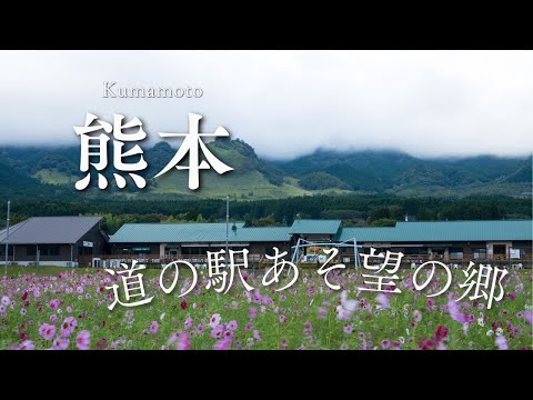 『道の駅あそ望の郷』のコスモス畑に行ってきました　熊本県　自然を歩く 癒しの映像 日本の絶景 癒し風景 　Japan  Fresh Green Nature Relaxation