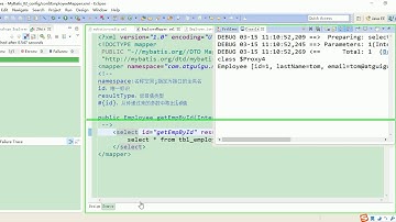 9 尚硅谷 MyBatis 全局配置文件 typeAliases 别名