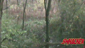 Swhacker Customer Doe Kill