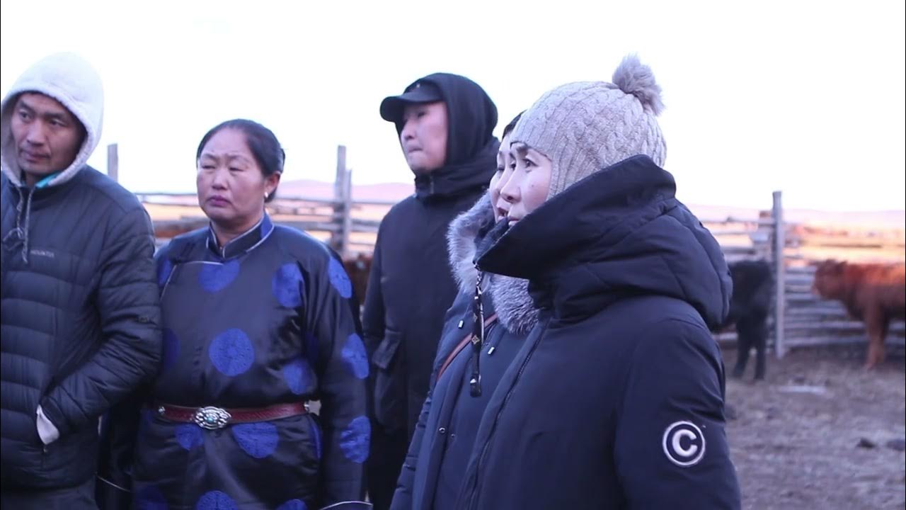 Сум 11. Сум 11