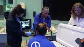 Happy National Veterinary Technician Appreciation Week!