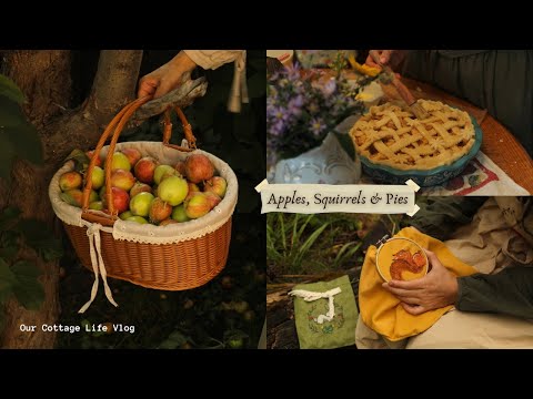🍂Little Joys of Life | Apples, squirrels, & Pies🐿️🍎🥧 thumbnail