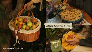 🍂Little Joys of Life | Apples, squirrels, & Pies🐿️🍎🥧