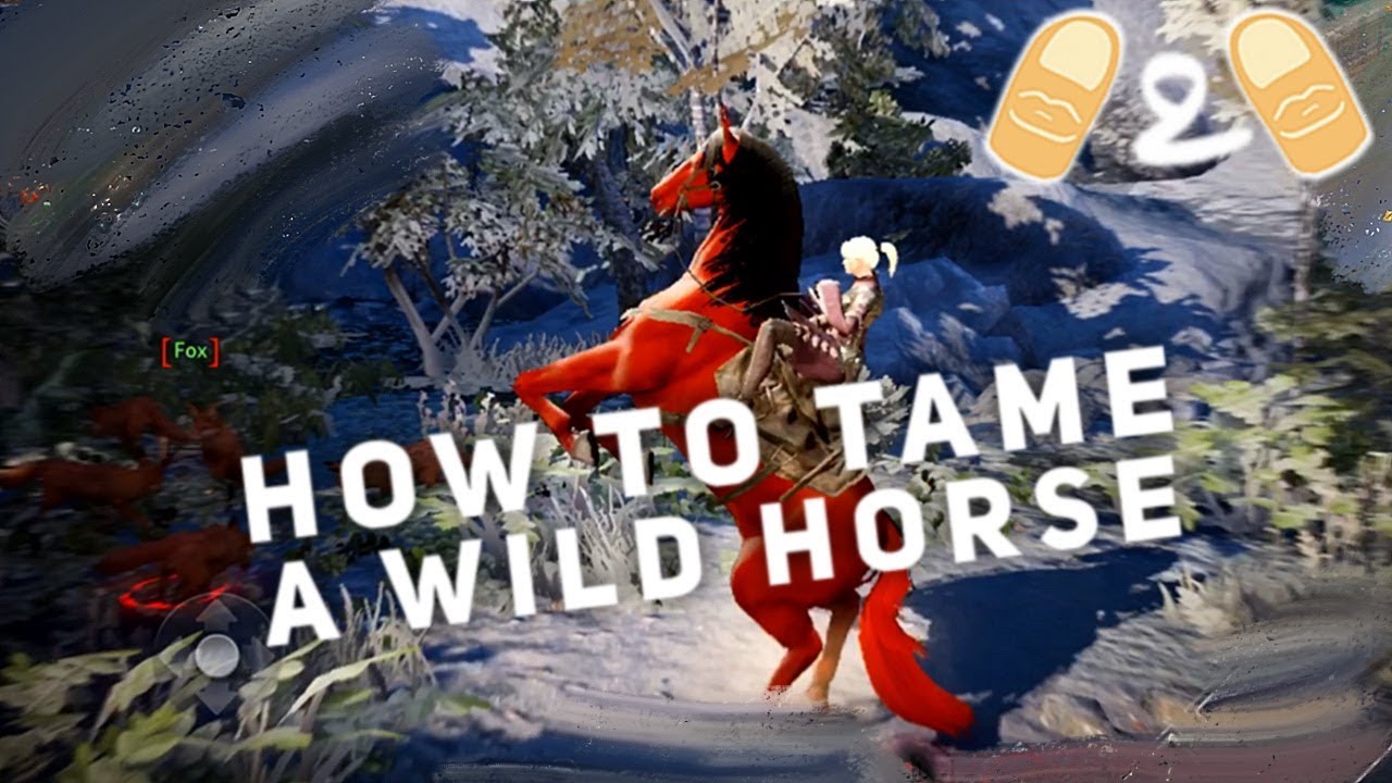Black Desert Mobile How To Tame A Wild Horse Tips Game Guide YouTube