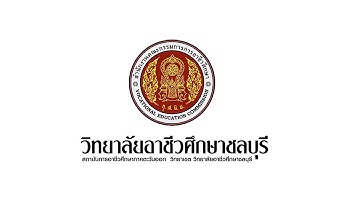 สื่อ Excel การใช้ฟังก์ชันสรุปข้อมูล (SUM, AVERAGE, MIN, MAX, COUNT)