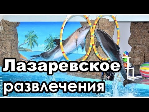 Куда сходить в Лазаревском/Часть 4. Развлечения.Дельфинарий, океанариум и пр.