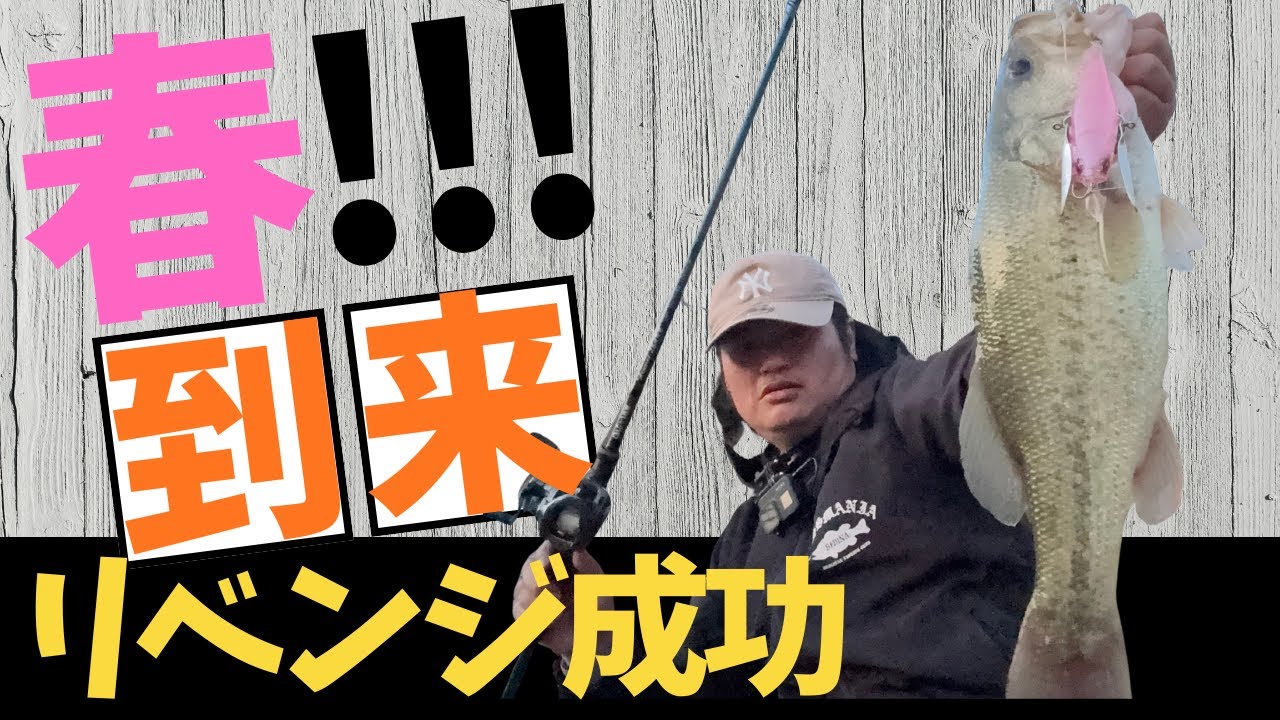 【バス釣り】春到来‼️スーパーバイト炸裂🤛リベンジ成功‼️