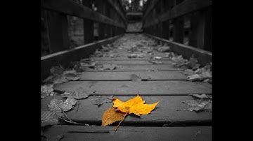 Photoshop Tutorial: Color Splash Effect