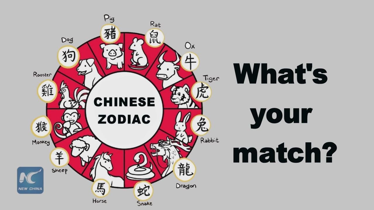 Chinese zodiac book written by Argentine researcher a hot sale in