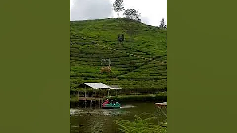 Darryl on Flying Fox