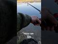 Wo ist mein Vater ?!  #angeln #hecht #hechtangeln #fishingvideo  #biss  #fishing #fish #fishinglife