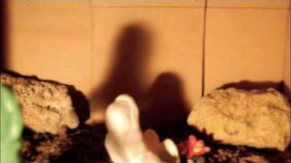 Torgny2009 Cest Arriveloinchezvous