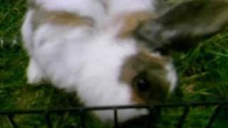 DSCI0067.AVI