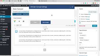 Ultimate Carousel - basic carousel Net Worth