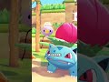 O COZY DE POKOPIA
