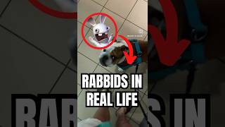 DOG RAYMAN RABBIDS SCREAM IRL 😭 #gaming #gamingshorts #ubisoft #rabbids #rayman #wii #nintendo