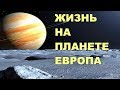 Жизнь на Европе. Возможна ли жизнь на других планетах?