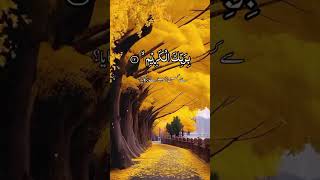 This Recitation Will Calm Your Soul ❤️ | Surah Ar-Rahman #shorts