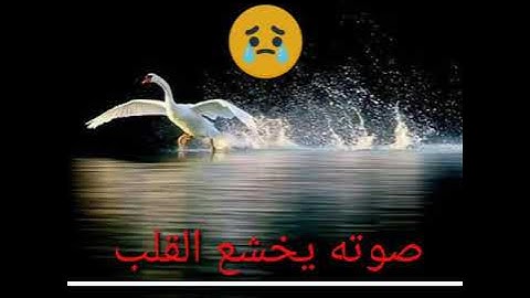 تلاوه خاشعه من اشيخ ناصر الحصامي