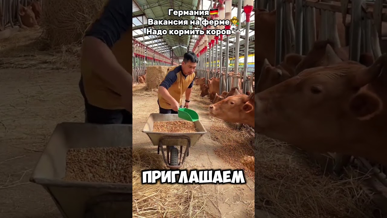 🟢Переходите в профиль🟢 